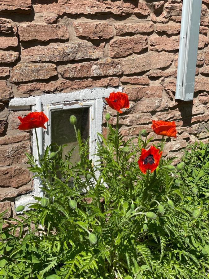 Rosenfors Herrgard B&B Borgholm Dış mekan fotoğraf
